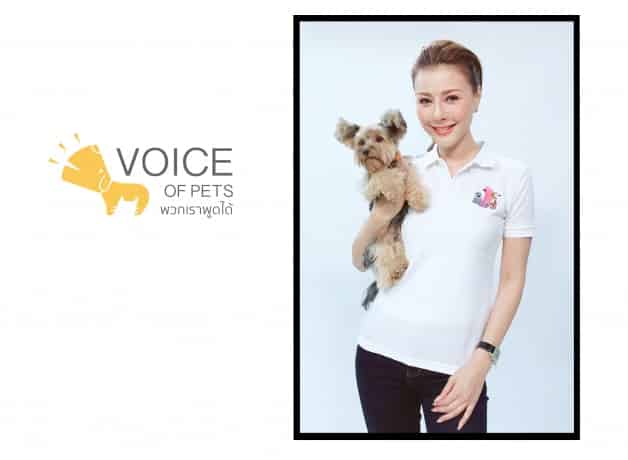 THE VOICE FOUNDATION
