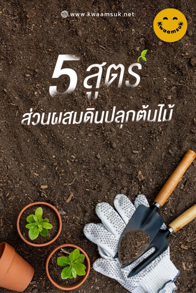 5 สูตรผสมดิน