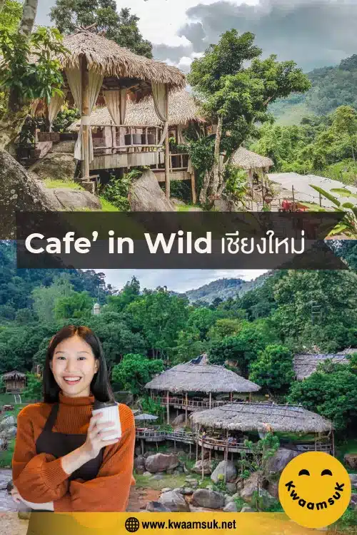 ร้าน Cafe’ in Wild เชียงใหม่