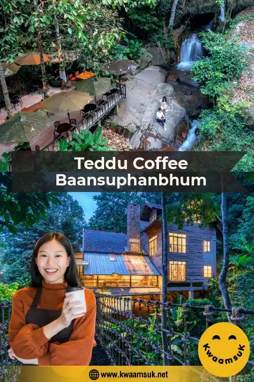 ร้าน Teddu Coffee – Baansuphanbhum