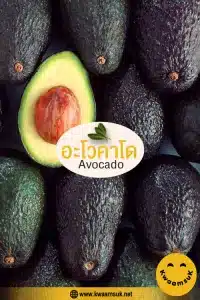 อะโวคาโด Avocado