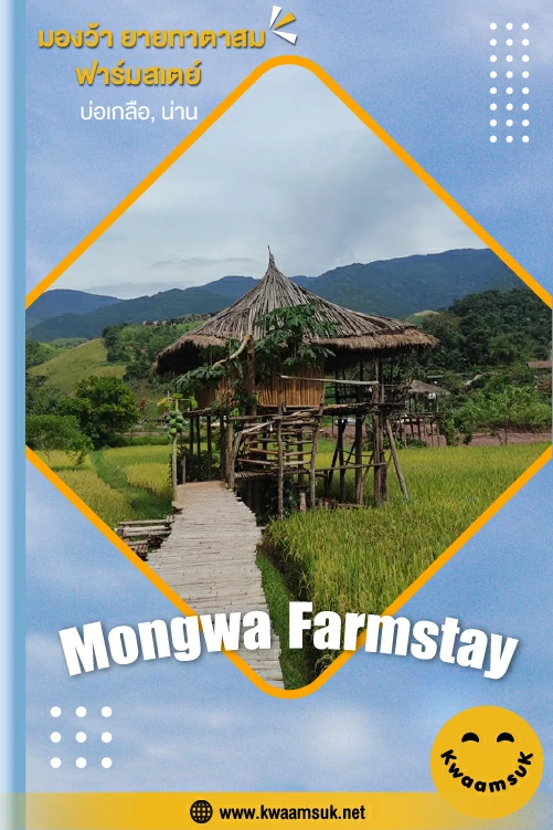 มองว้า ยายทาตาสม ฟาร์มสเตย์, บ่อเกลือ, น่าน (Mongwa Farmstay)