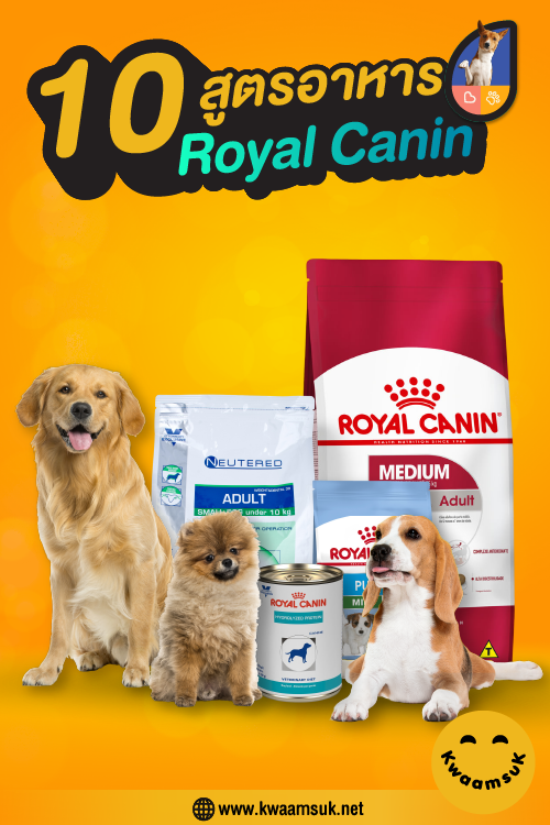 10 สูตรอาหาร Royal Canin