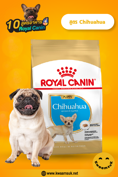 Royal Canin สูตร Chihuahua