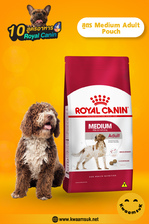 Royal Canin สูตร Medium Adult Pouch