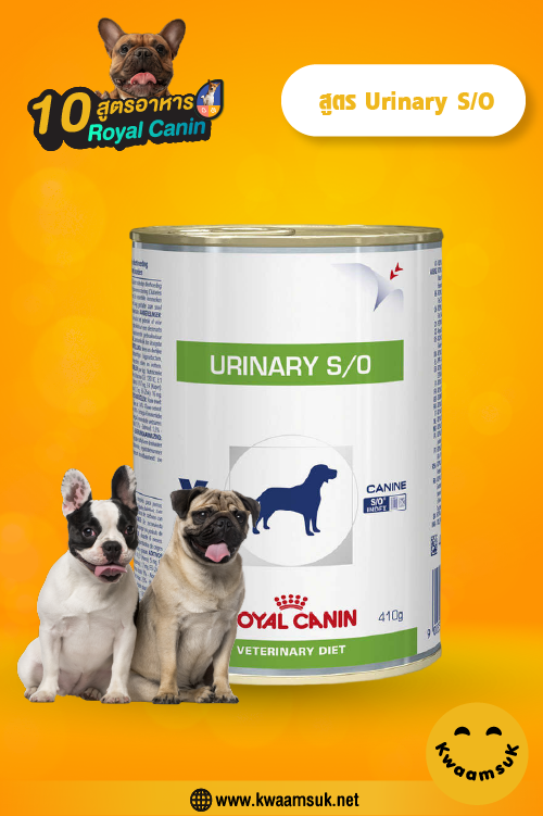 Royal Canin สูตร Urinary S_O