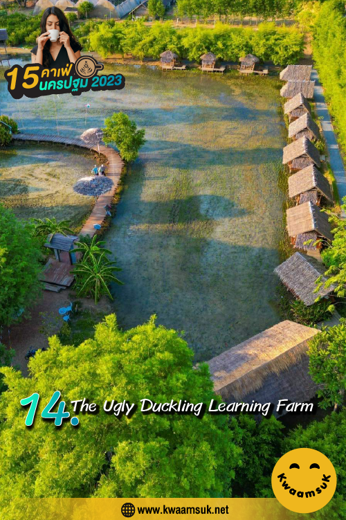 The Ugly Duckling Learning Farm