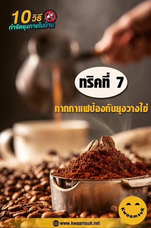 กากกาแฟป้องกันยุงวางไข่